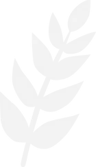 Anasayfa2